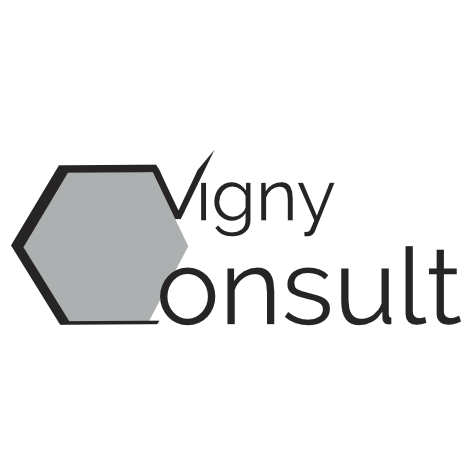 Vigny Consult logo 